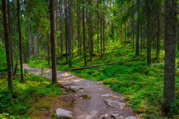 Paisagem Natural Parque Nacional Helvetinjarvi Finlândia — Fotografia de Stock