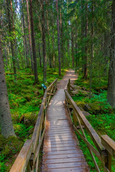 Paisaje Natural Del Parque Nacional Helvetinjarvi Finlandia —  Fotos de Stock
