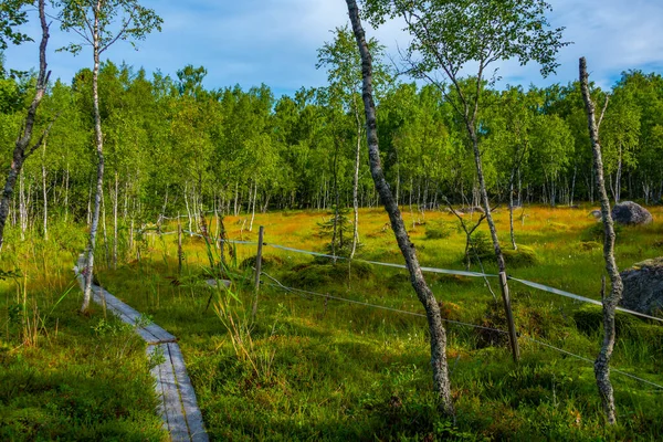 フィンランドのクヴァルケン諸島の自然景観 — ストック写真