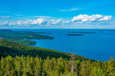 Finlandiya 'daki Koli Milli Parkı' ndaki Pielinen Gölü 'ndeki takımada manzarası.