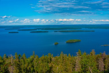 Finlandiya 'daki Koli Milli Parkı' ndaki Pielinen Gölü 'ndeki takımada manzarası.