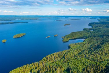 Finlandiya 'daki Koli Milli Parkı' ndaki Pielinen Gölü 'ndeki takımada manzarası.