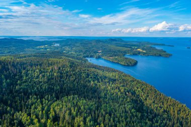 Finlandiya 'daki Koli Milli Parkı' ndaki Pielinen Gölü 'ndeki takımada manzarası.