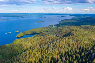 Panorama view of archipelago at lake Pielinen at Koli national park in Finland. clipart