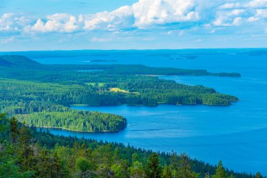Finlandiya 'daki Koli Milli Parkı' ndaki Pielinen Gölü 'ndeki takımada manzarası.