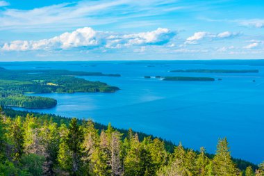 Finlandiya 'daki Koli Milli Parkı' ndaki Pielinen Gölü 'ndeki takımada manzarası.