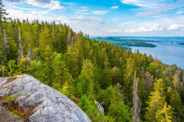 Finlandiya 'daki Koli Milli Parkı' ndaki Pielinen Gölü 'ndeki takımada manzarası.