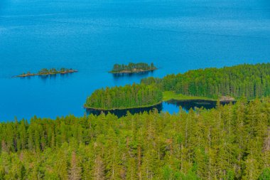 Finlandiya 'daki Koli Milli Parkı' ndaki Pielinen Gölü 'ndeki takımada manzarası.