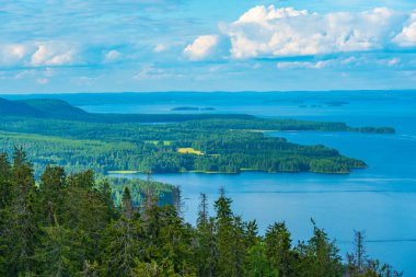 Finlandiya 'daki Koli Milli Parkı' ndaki Pielinen Gölü 'ndeki takımada manzarası.