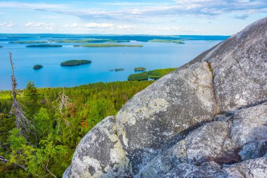 Finlandiya 'daki Koli Milli Parkı' ndaki Pielinen Gölü 'ndeki takımada manzarası.