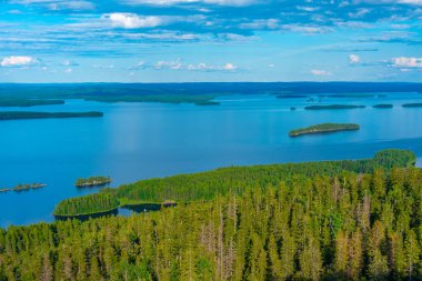 Finlandiya 'daki Koli Milli Parkı' ndaki Pielinen Gölü 'ndeki takımada manzarası.