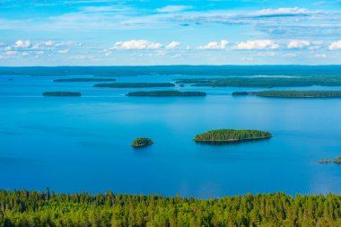 Finlandiya 'daki Koli Milli Parkı' ndaki Pielinen Gölü 'ndeki takımada manzarası.