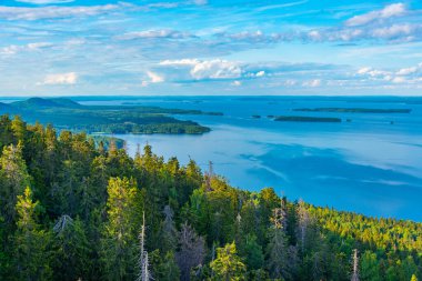 Finlandiya 'daki Koli Milli Parkı' ndaki Pielinen Gölü 'ndeki takımada manzarası.