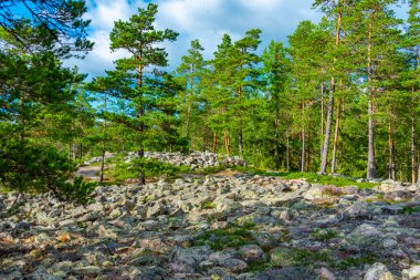 Sammallahdenmaki, Finlandiya 'da Rauma yakınlarında bir Bronz Çağı mezarlığı.