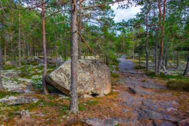 Sammallahdenmaki, Finlandiya 'da Rauma yakınlarında bir Bronz Çağı mezarlığı.