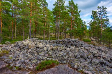 Sammallahdenmaki, Finlandiya 'da Rauma yakınlarında bir Bronz Çağı mezarlığı.