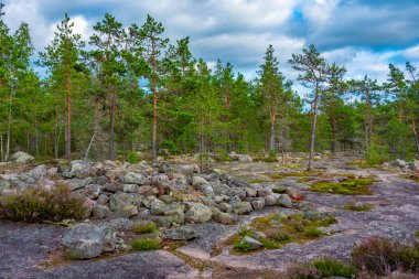 Sammallahdenmaki, Finlandiya 'da Rauma yakınlarında bir Bronz Çağı mezarlığı.