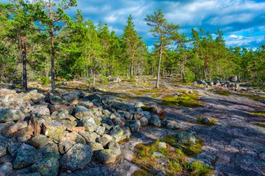 Sammallahdenmaki, Finlandiya 'da Rauma yakınlarında bir Bronz Çağı mezarlığı.