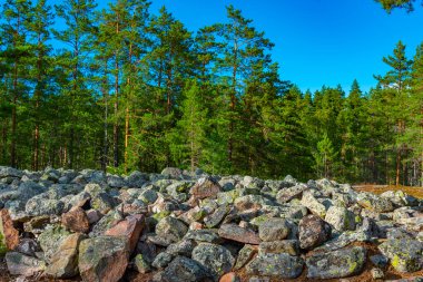 Sammallahdenmaki, Finlandiya 'da Rauma yakınlarında bir Bronz Çağı mezarlığı.