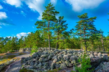 Sammallahdenmaki, Finlandiya 'da Rauma yakınlarında bir Bronz Çağı mezarlığı.