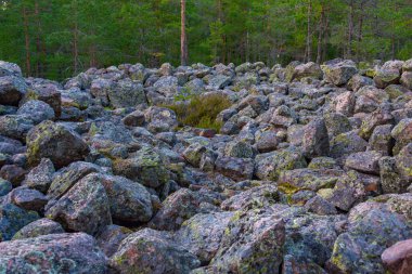 Sammallahdenmaki, Finlandiya 'da Rauma yakınlarında bir Bronz Çağı mezarlığı.