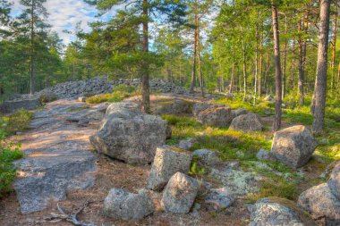 Sammallahdenmaki, Finlandiya 'da Rauma yakınlarında bir Bronz Çağı mezarlığı.