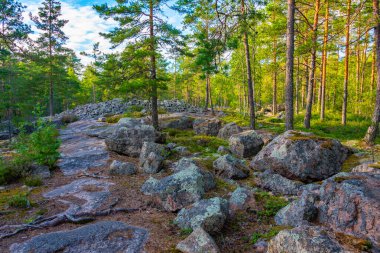 Sammallahdenmaki, Finlandiya 'da Rauma yakınlarında bir Bronz Çağı mezarlığı.