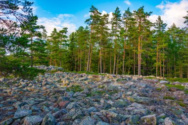Sammallahdenmaki, Finlandiya 'da Rauma yakınlarında bir Bronz Çağı mezarlığı.