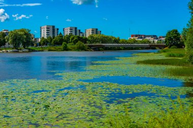 Finlandiya, Pori 'de Kokemaenjoki nehri.