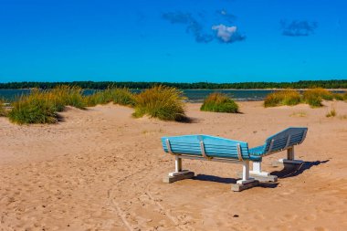 Finlandiya 'daki Yyteri plajında kum tepeleri.