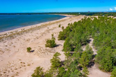 Finlandiya 'daki Yyteri plajının Panorama manzarası.