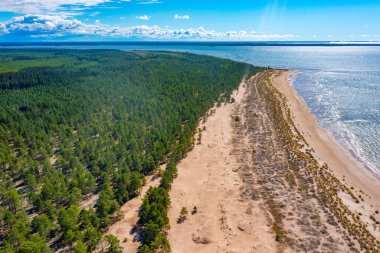 Finlandiya 'daki Yyteri plajının Panorama manzarası.