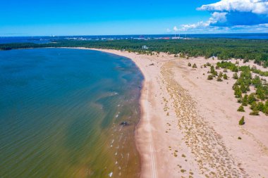 Finlandiya 'daki Yyteri plajının Panorama manzarası.