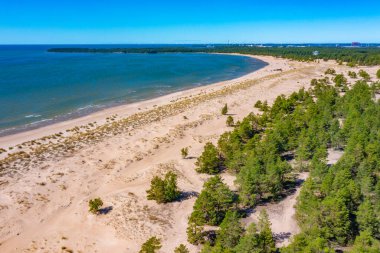Finlandiya 'daki Yyteri plajının Panorama manzarası.