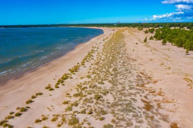 Finlandiya 'daki Yyteri plajının Panorama manzarası.