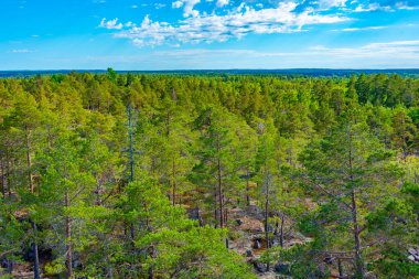 Finlandiya 'daki Aland adalarının Panorama manzarası.