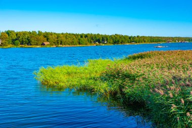 Finlandiya 'daki Aland adalarının el değmemiş kıyı şeridi.