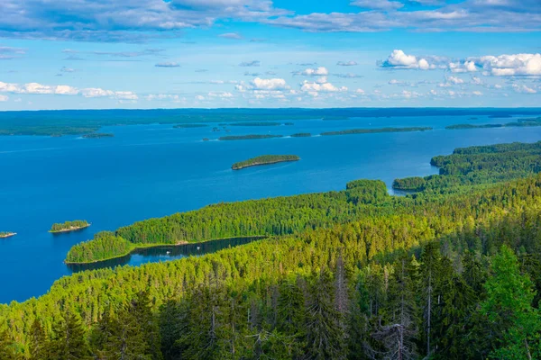Вид Архипелаг Озере Национальном Парке Коли Финляндии — стоковое фото