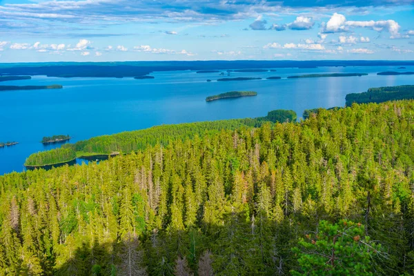Vista Panorámica Del Archipiélago Lago Pielinen Parque Nacional Koli Finlandia — Foto de Stock