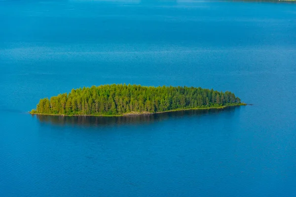 Finlandiya Daki Koli Milli Parkı Ndaki Pielinen Gölü Ndeki Takımada — Stok fotoğraf