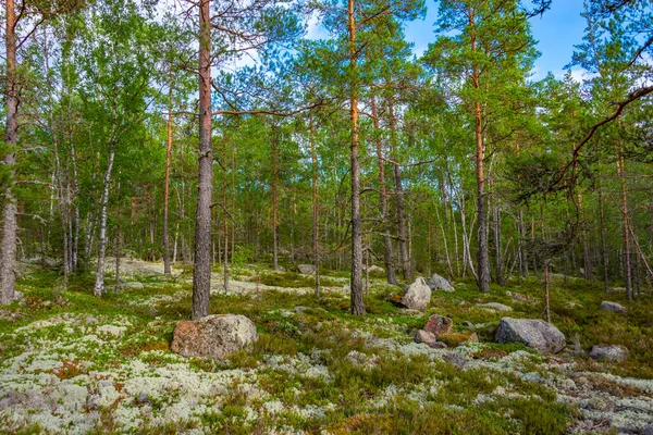 Sammallahdenmaki, Finlandiya 'da Rauma yakınlarında bir Bronz Çağı mezarlığı.