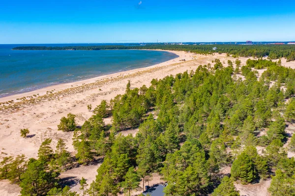 芬兰Yyteri海滩全景 — 图库照片