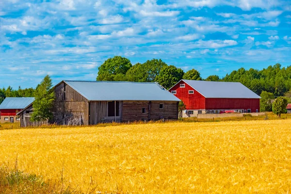 stock image View of a farm at Aland islands.