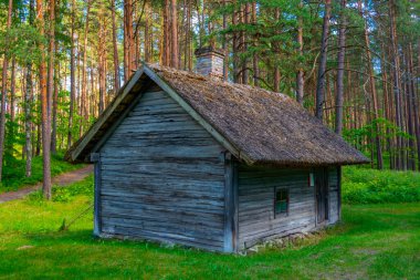 Riga 'daki Letonya Açık Hava Müzesi.