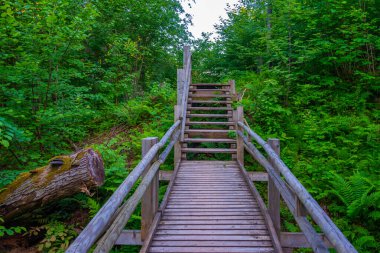 Letonya 'daki Gauja Milli Parkı' nda yürüyüş yolu.