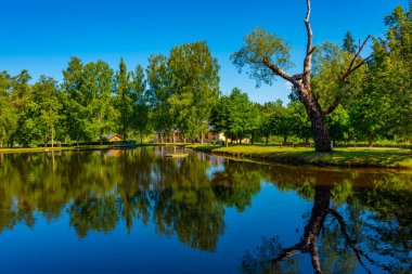Letonya 'daki Ligatne köyünde gölet.