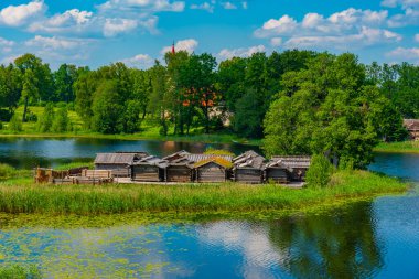 Letonya 'da bulunan Araisi Gölü' ndeki ahşap evlerin hava görüntüsü.