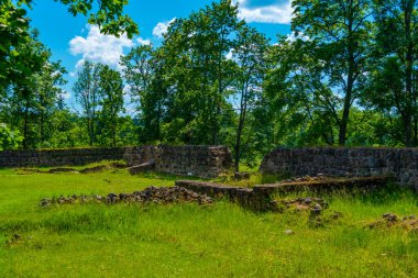 Letonya 'daki Araisi gölü kalesi.