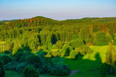 Estonya 'daki Otep kalesinin manzarası
