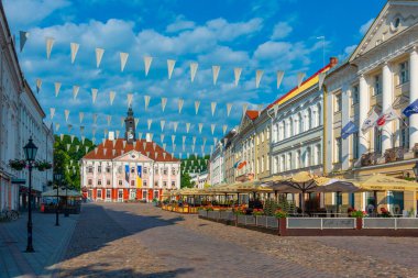 Estonya 'daki Tartu Üniversitesi Botanik Bahçesi.